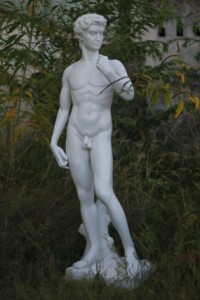 david